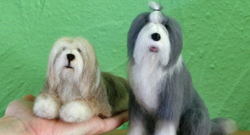 Bobtail Curly und Bearded Collie Barclay