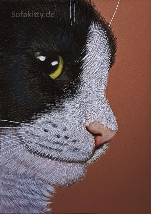 Katers Pastell Portrait