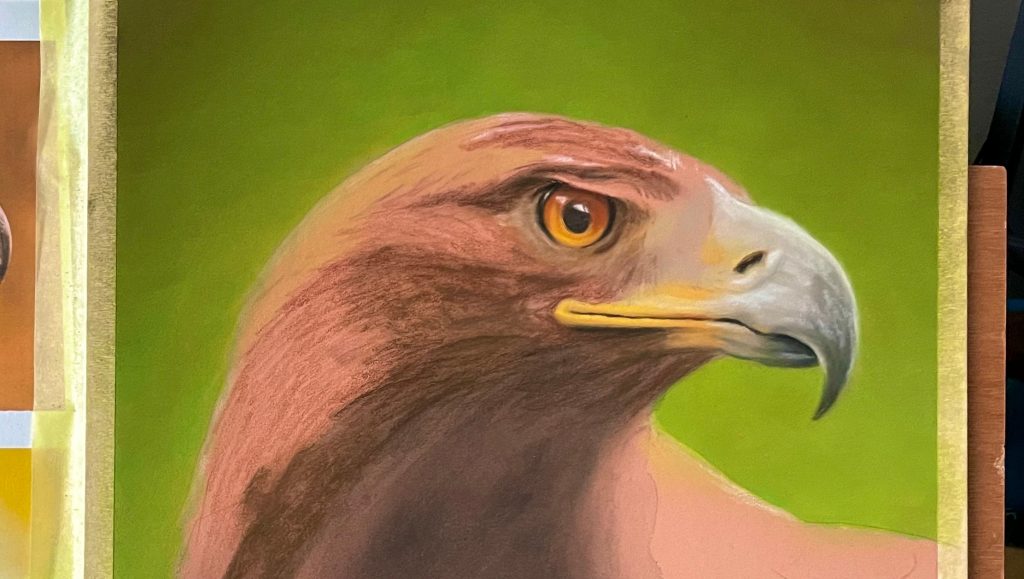 Adler Pastellportrait – WIP